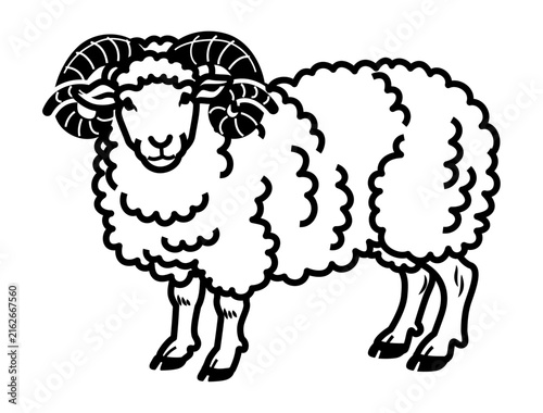 ツノあり雄羊の線画イラスト 未年の年賀状素材