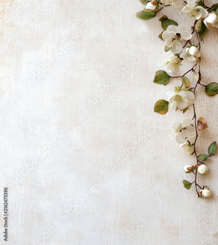 Delicate white flowers with green leaves arranged on textured background create serene and romantic atmosphere