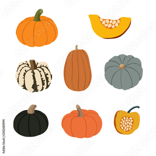 Pumpkin and squash collection with colorful autumn gourds and pumpkin slice