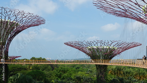Iconic Supertrees and OCBC Skyway in Singapore