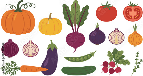 Fresh Organic Vegetables Set with Pumpkin Beetroot Tomato Onion Eggplant Carrot Cucumber Peas and Radish for Healthy Cooking Recipe Design Flat Vector Illustration
