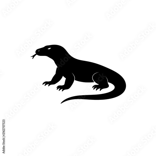 Quadro su tela komodo