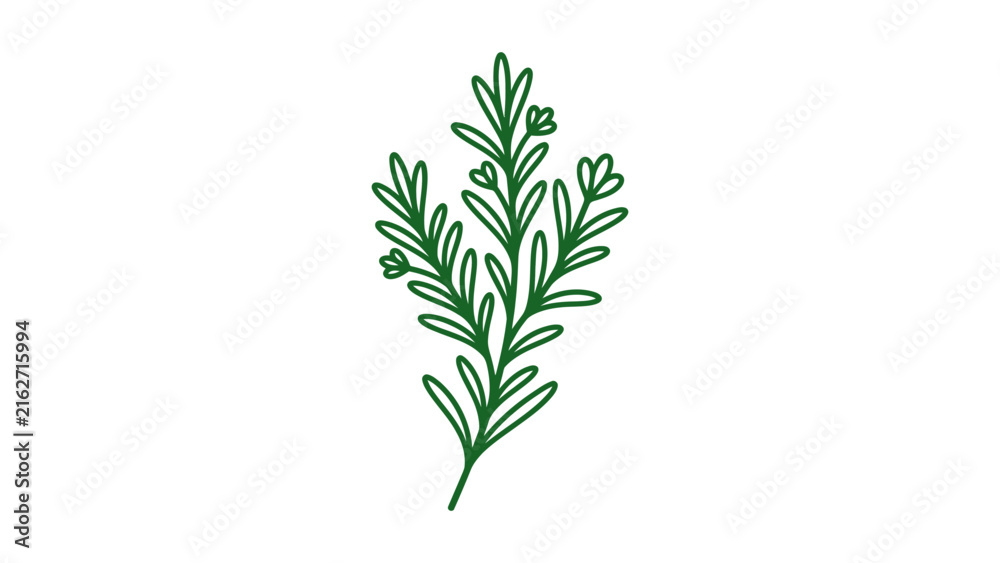 Fototapeta premium Minimalist Rosemary Sprig Vector Illustration