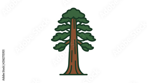 Flat Evergreen Tree Vector Illustration