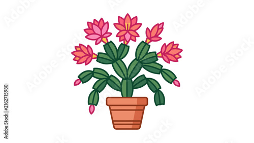 Christmas Cactus Potted Plant Vector Illustration