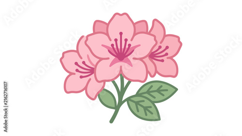 Pink Cherry Blossom Vector Illustration