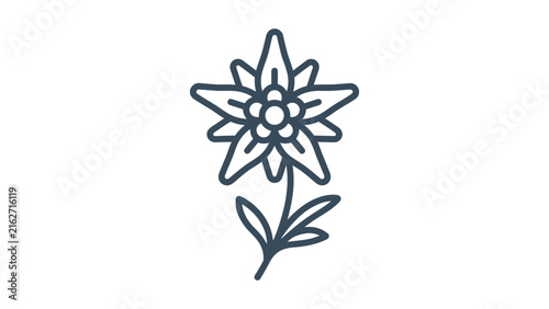 Edelweiss Flower Icon
