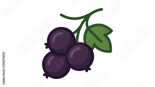 Blackcurrant Berries Flat Vector Illustration
