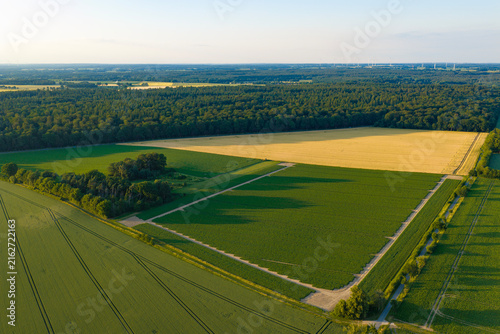 Canvastavla Aerial top view on green crop field