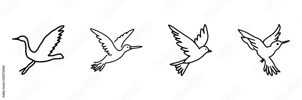 Obraz premium Flying Bird Hand Drawn Doodle Icon Set. Bird In Flight, Winged Motion And Nature Wildlife Sketch Symbol Collection. Animal And Ornithology Context. Isolated Vector Illustration