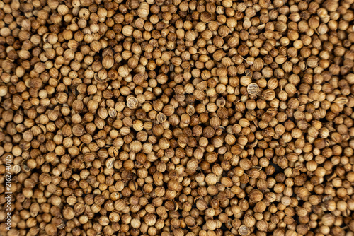 Organic whole coriander seeds heap for Indian spice mix and culinary menu