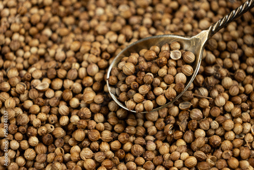 Spoon filled with organic dried coriander seeds on aromatic spice background