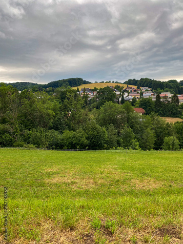 Green meadow field with rural village and forested hills under cloudy sky