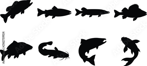 Fish Silhouettes Featuring Catfish and Diverse Species for Aquatic and Educational Design