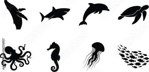 Marine life silhouettes illustration featuring whale, shark, dolphin, turtle, octopus, seahorse, jellyfish, and fish for ocean and educational use