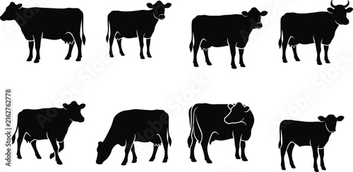 Set of black and white dairy cow and calf silhouettes in various poses for farm agriculture design