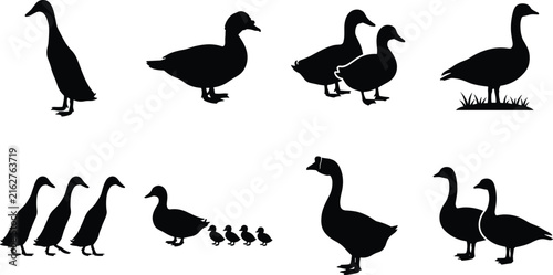 Set of black farm poultry vector silhouettes featuring ducks, geese, and small ducklings isolated on white background