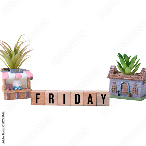 FRIDAY word on wooden blocks with small artificial potted plants isolated on white background