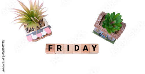 FRIDAY word on wooden blocks with small artificial potted plants isolated on white background