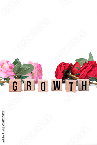 GROWTH word written on wooden blocks with red and pink roses isolated on white