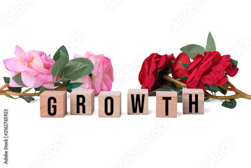 GROWTH word written on wooden blocks with red and pink roses isolated on white