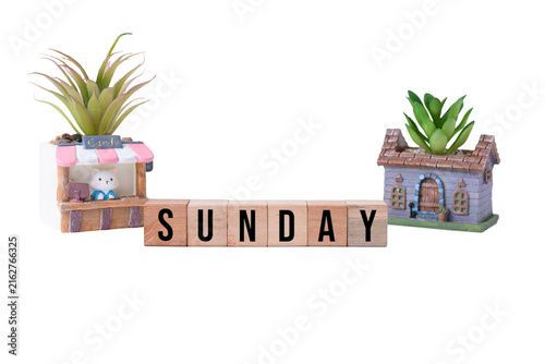 SUNDAY word on wooden blocks with small artificial potted plants isolated on white background