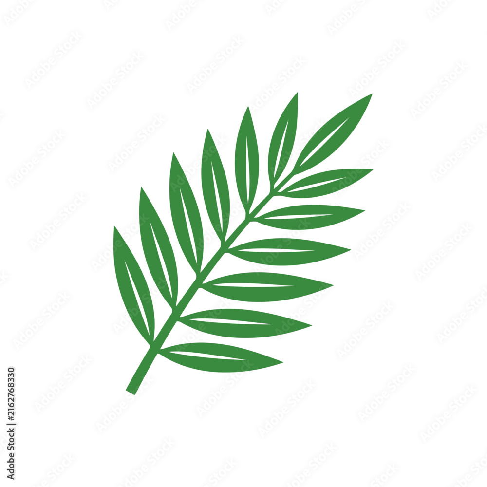 Fototapeta premium Minimalist green palm leaf botanical illustration.