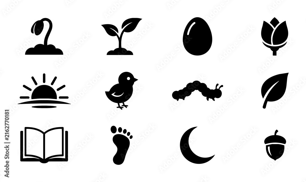 Obraz premium Life Cycle Icons Set: Growth, Nature, Transformation, and Development Symbols. Vector Illustrations for Biology, Education, and Concepts.