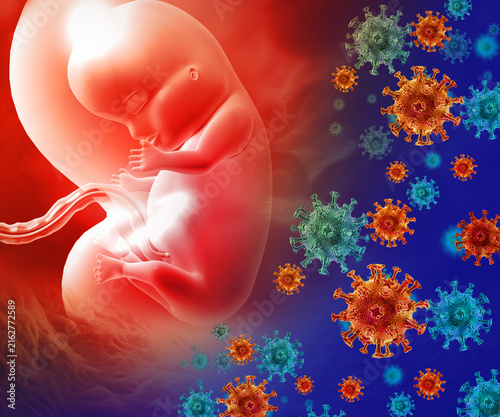 Foto Fetus infectious disease and maternal infection on medical background