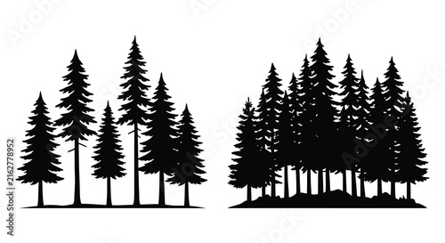Coniferous tree silhouettes against a white background silhouette