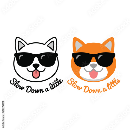 Cool dogs with sunglasses and funny expressions on white background