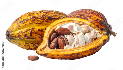 Three cocoa pods, one sliced open to reveal beans and pulp. The pods are yellow and brown, with a rough texture