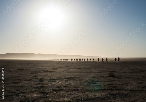 A long line of silhouettes moves slowly across the immense, arid landscape under the harsh midday sun, emphasizing the isolation and difficult journey ,silhouette ,crossing ,dune