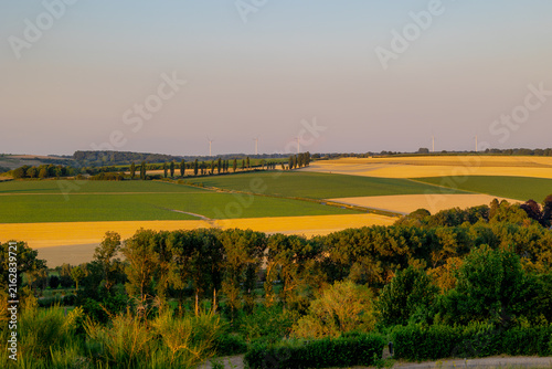 Canvas Print Summer landscape, The terrain hill countryside in Zuid-Limburg, Small houses on