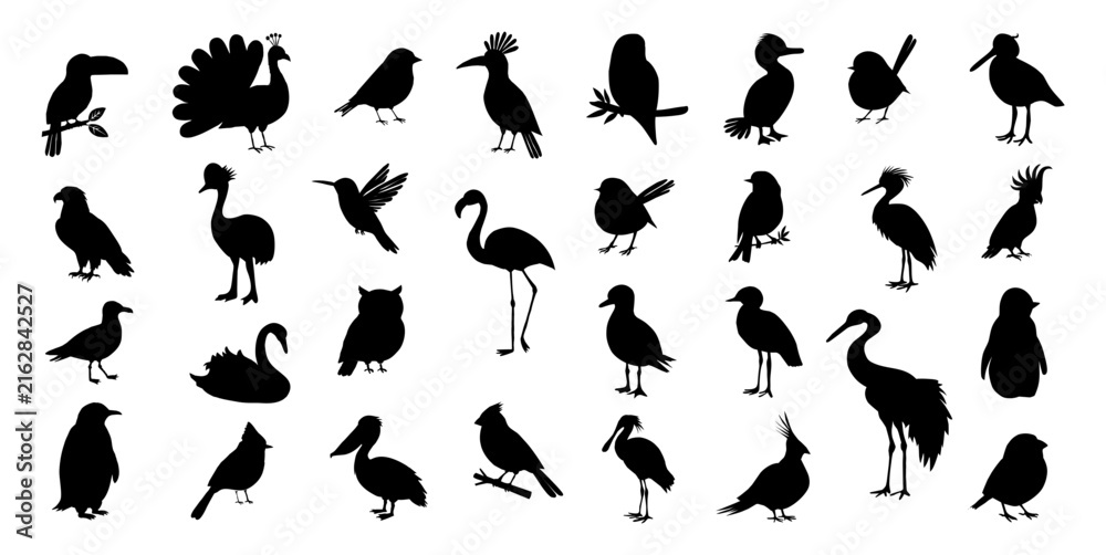 Naklejka premium Black bird silhouettes in various poses. Diverse species include herons, ducks, parrots, and swans. Silhouettes show flight, standing, or resting. Ideal for nature, wildlife, or design projects