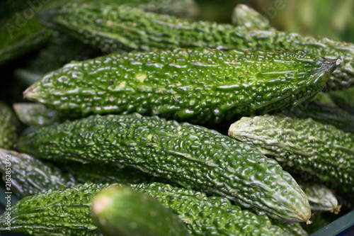 Foto A deep green bitter melon lies horizontal in sharp focus, more melons stacked densely behind, warty skin and light rub marks visible, Sanxing Township