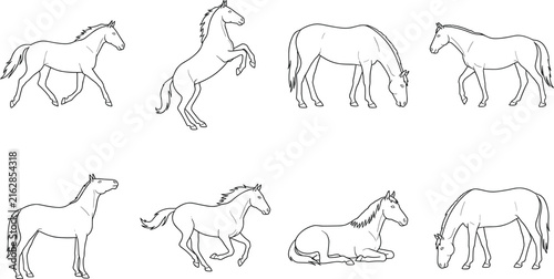 Foto Black and white line drawings of horses in natural poses and movement illustrati
