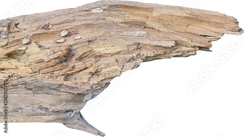 branch tree dry cracked bark