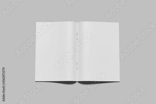 blank magazine mockup