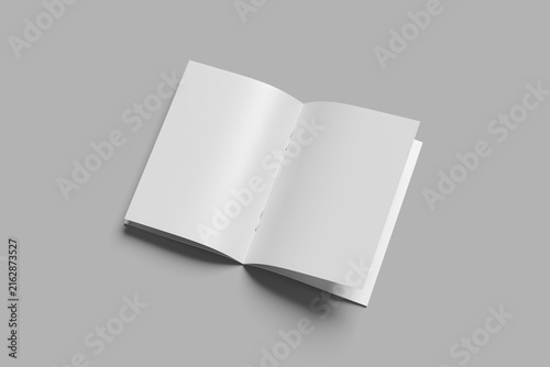 blank magazine mockup