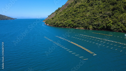 Aerial view of seaweed aquaculture farms in tropical ocean