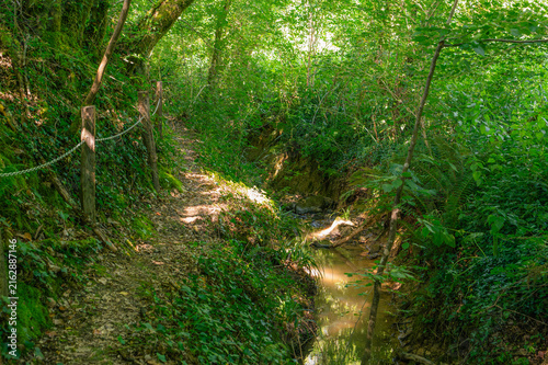 Canvastavla Sentier forestier ombragé le long d'un ruisseau en été