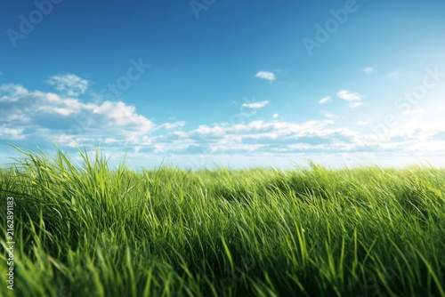 Vibrant Green Grassland Under Bright Blue Sky with Soft White Clouds and Warm Sunshine in a Peaceful Nature Scene