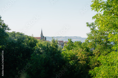 Obraz na płótnie Clocher d'église émergeant des arbres au-dessus d'un village en été