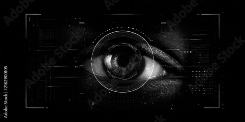 Biometric security workplace concept. Digital eye scan with data and technology elements in black and white.