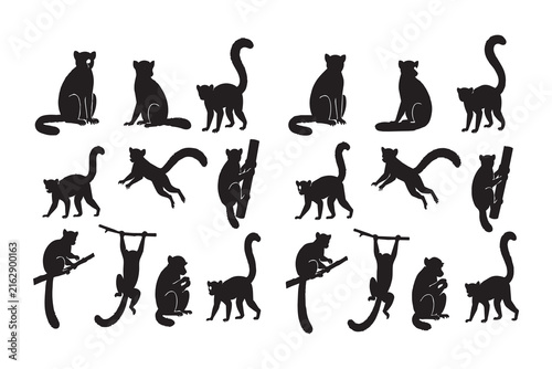 Set of black lemur animal silhouettes in different poses