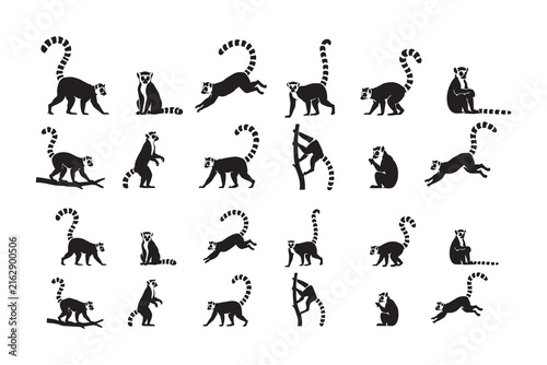 Set of black silhouette lemur icons in different poses