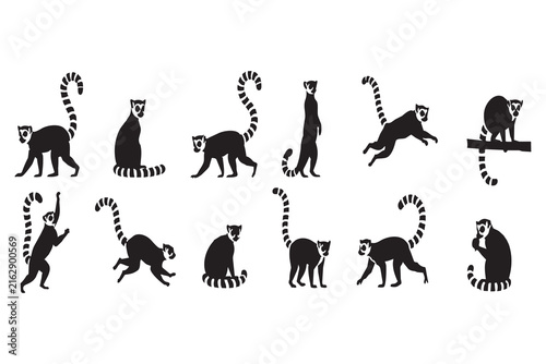 A collection of black lemur silhouettes featuring various active and resting poses, isolated on a white background and also a transparent background.