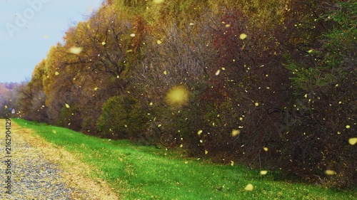 Autumn leaves swirl gently in crisp air along winding gravel path. Trees show fiery reds, golds, and deep browns. Green grass borders road, enhancing seasonal contrast. Ideal for travel, nature