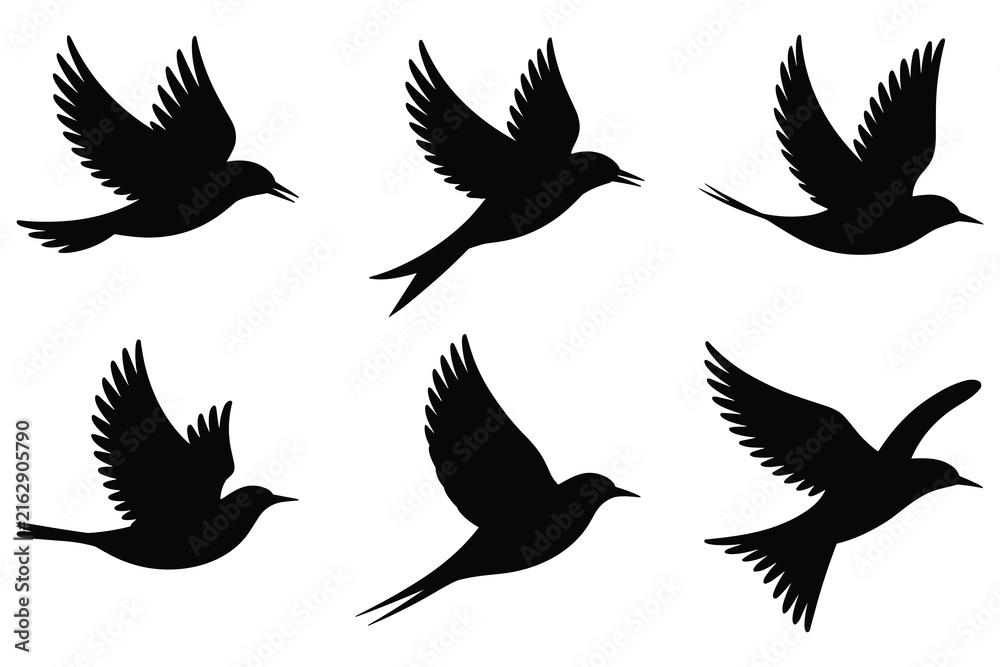 Fototapeta premium Flying bird silhouettes against a white background depict avian movement